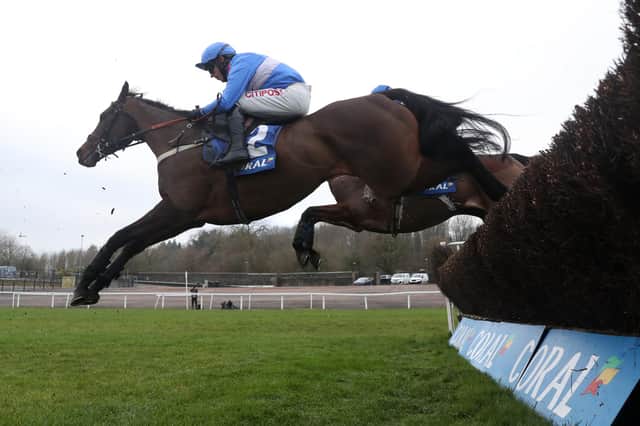 Esprit Du Large, seen here during the Coral Welsh Grand National day at Chepstow Racecourse on January 9, will be among the runners at Kelso a week on Saturday. (Photo: David Davies/pool/Getty Images)