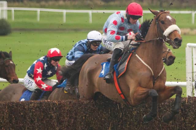 Sounds Russian, ridden by Jamie Hamilton, won the feature race at Kelso last week, the Children's Immunology Trust Novices' Limited Handicap Chase (Photo: Bill McBurnie)