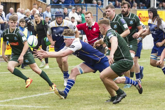 Jed-forest flanker Dan Wardrop in action against Hawick during Saturday's Skelly Cup clash (Photo: Bill McBurnie)