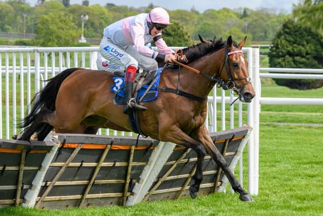 Jonathon Bewley riding Hoganville to victory for his trainer dad George in the 2.15pm Aitken Turnbull Architects Handicap Hurdle at Kelso on Wednesday (Pic: Alan Raeburn)