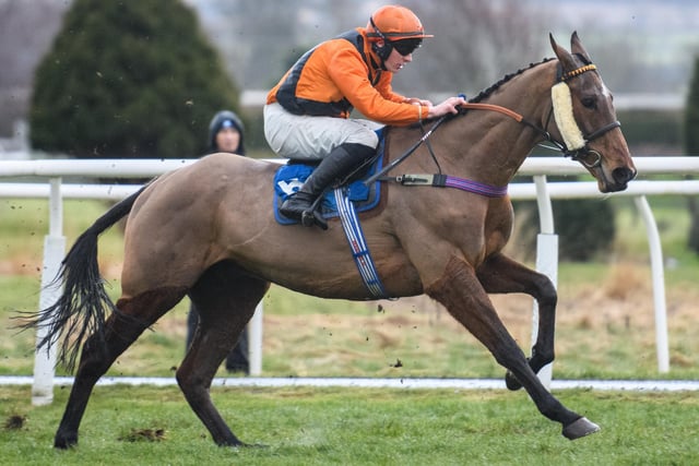 Craig Nichol finished fourth on Brandy McQueen in the 4pm Bet365 Cyril Alexander Memorial Novices' Limited Handicap Chase at Kelso Racecourse on Saturday for Camptown trainers Harriet Graham and Gary Rutherford (Photo: Alan Raeburn)