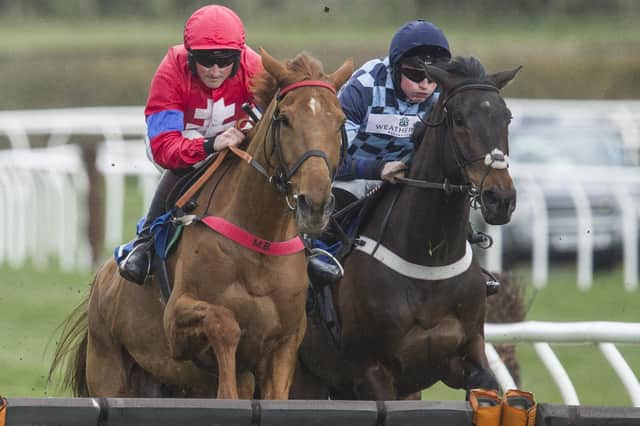 Jet Legs, ridden by Jedburgh jockey Callum Bewley for Cumbrian trainer Martin Todhunter, finished second in Kelso's first race of the day at 1.50pm (Photo: Bill McBurnie)