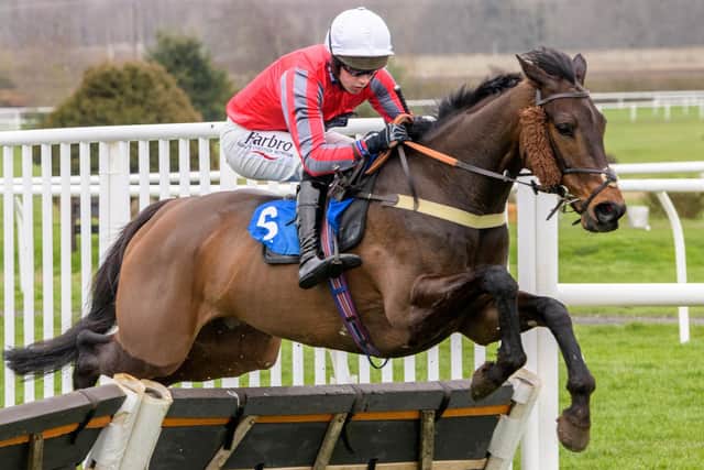 Selkirk handler Stuart Coltherd’s Midnight Shuffle, ridden by his son Sam, finished as runner-up in the 3pm BetVictor Herring Queen Series Final Mares’ Novices’ Handicap Hurdle at Kelso on Saturday (Pic: Alan Raeburn/Kelso Races)
