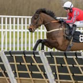 Sam Coltherd riding Midnight Shuffle to a win at Musselburgh on Sunday for his trainer dad Stuart (Pic: Alan Raeburn/Musselburgh Races)