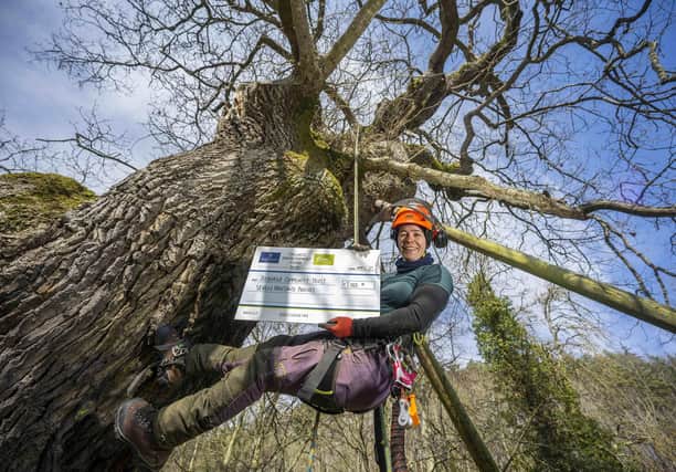 Arborist Kirsty Smith with a £7,000 cheque from the Fallago Environment Fund which is part-funding preservation work on ancient Jed Forest oak, the Capon Tree. Photo: Phil Wilkinson.
