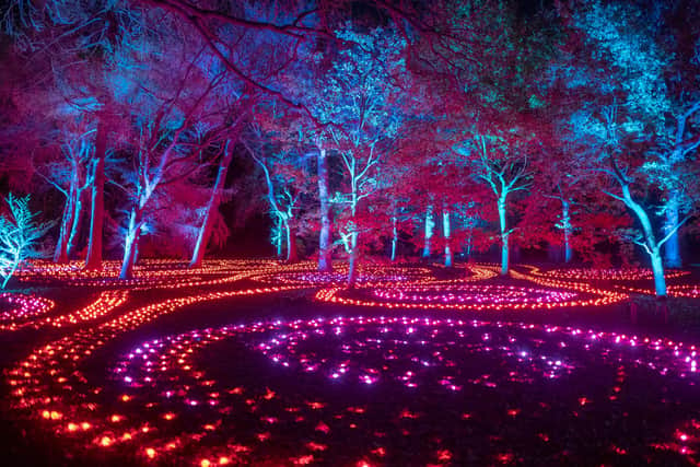 Sea of Light by Ithaca is the dazzling new finale at Christmas At The Botanics 2021. Photo by  Phil Wilkinson