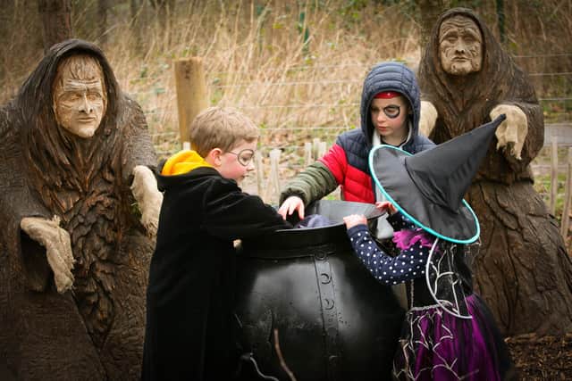 Hubble bubble ... the new Witch Corner at Abbotsford. Photo: Lloyd Smith.
