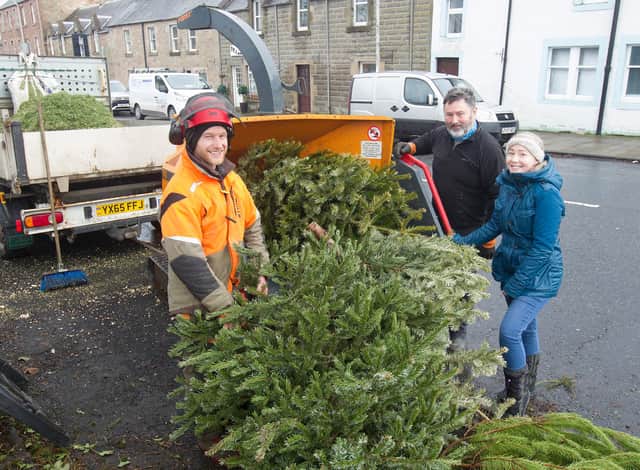 Chris Anthony and Gordon Campbell take a Christmas tree from Michelle Smith for a small donation to Denholm Primary School. (Photo: BILL McBURNIE)