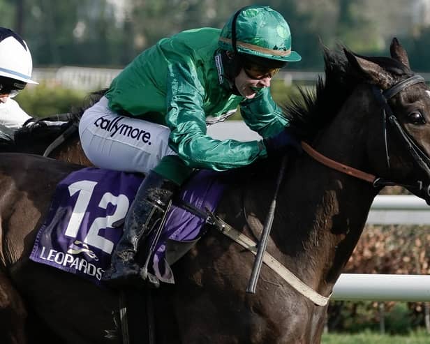 JJ Slevin riding Brucio at Dublin's Leopardstown Racecourse in February (Pic: Alan Crowhurst/Getty Images)