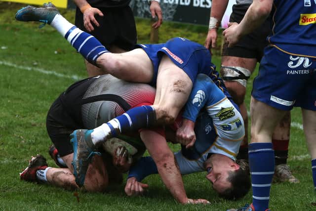 Jed-Forest conceding a try during their 46-14 loss at home to Glasgow Hawks in their last match of the 2023/24 Scottish Premiership rugby season on Saturday (Photo: Steve Cox)
