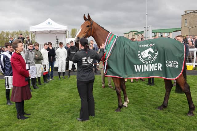The Princess Royal meeting 2023 Grand National winner Corach Rambler at Kelso Racecourse on Monday (Pic: John Grossick/Kelso Races)