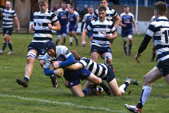Jed-Forest scoring one of their three tries against Heriot's Blues at home at Jedburgh's Riverside Park on Saturday (Photo: Steve Cox)