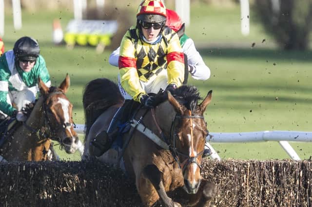 Deep Charm, seen here in action at Kelso in January 2022, was a winner for Selkirk trainer Stuart Coltherd and his jockey son Sam at Musselburgh today (Pic: Bill McBurnie)