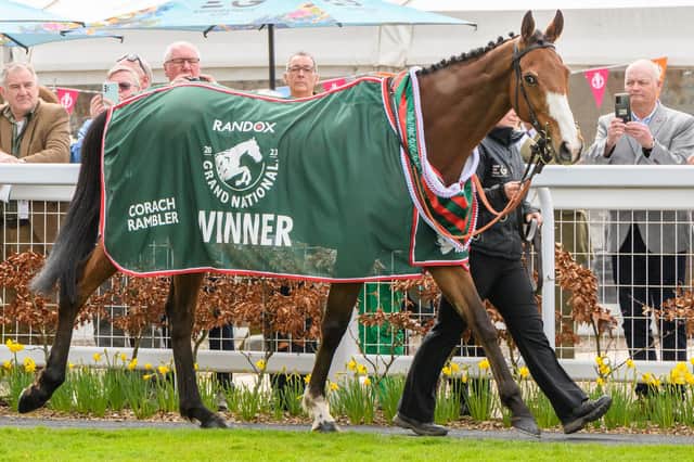 Corach Rambler, 2023's Grand National winner at Aintree, making an appearance at Kelso in April (Pic: Alan Raeburn)
