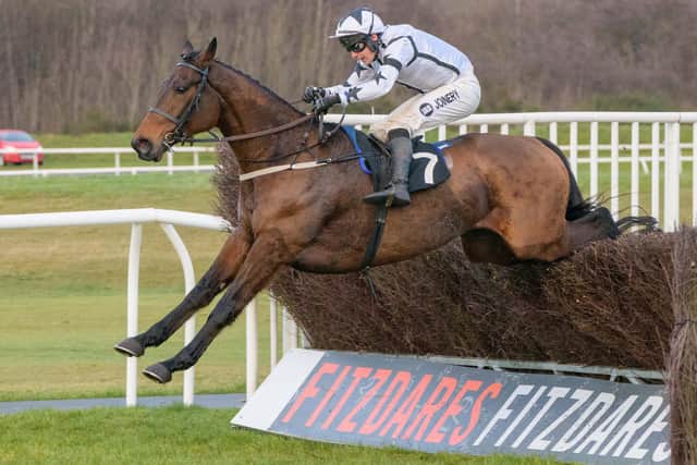 Ryan Mania guiding Large Action to a first-place finish at Musselburgh's 2023 New Year's Day race meeting (Pic: Alan Raeburn)