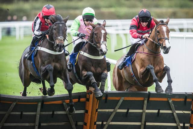 Salvino, centre, ridden by Ryan Mania and trained near Kelso by Sandy Thomson was level at the last hurdle but finished fifth at the post at the second race at Kelso (Photo: Bill McBurnie)