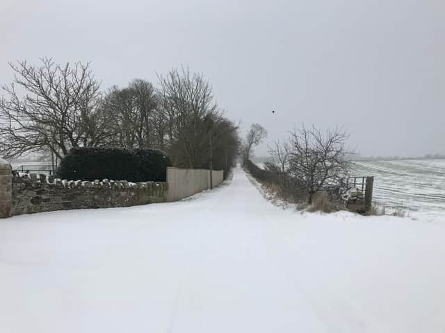 Snow at Edington yesterday.