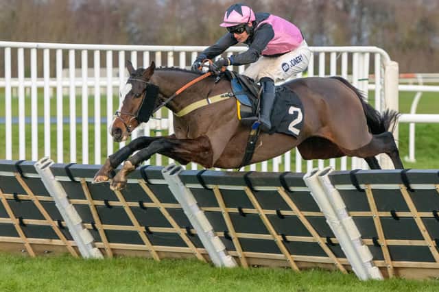 Jockey Ryan Mania riding Benson to victory for his father-in-law Sandy Thomson at Musselburgh's New Year's Day 2023 race meeting (Pic: Alan Raeburn)