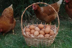 Woodend Farm has a 32,000-bird laying flock for its free-range eggs