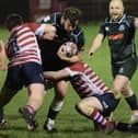 Visiting captain Shawn Muir on the attack, with Gareth Welsh and Russell Anderson in support, during Hawick's 38-7 Border League win away to Peebles at the Gytes on Friday (Photo: Malcolm Grant)
