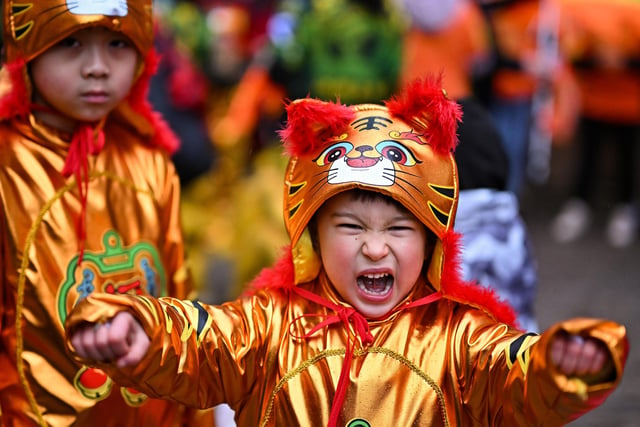 A young boy gets into the spirit of the Year of the Tiger during the celebrations.