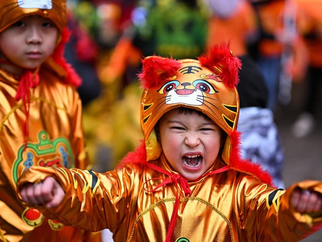 A young boy gets into the spirit of the Year of the Tiger during the celebrations.