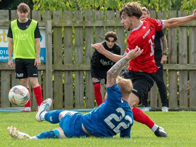 Michael Allan in action for Coldstream during their 4-4 draw at home to Kirkcaldy and Dysart on Saturday (Photo: Julie Russell)