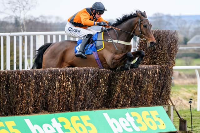 Ryan Mania on Cedar Hill  at a previous meeting at Kelso (Photo: Kelso Races)