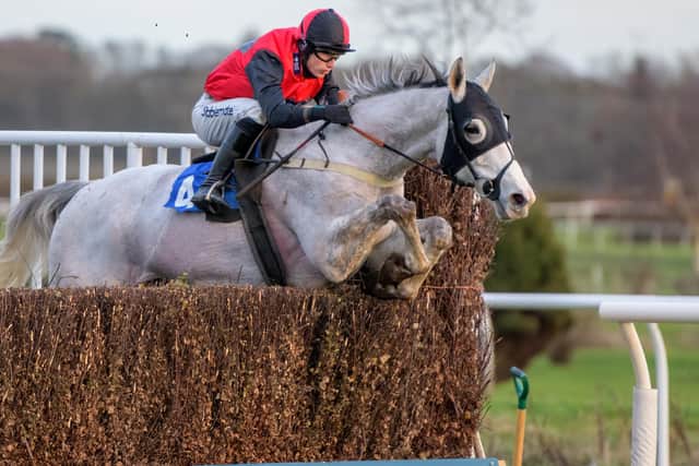 To the Limit being ridden by Tom Willmott for Selkirk's Stuart Coltherd at Kelso previously (Pic: Kelso Races)