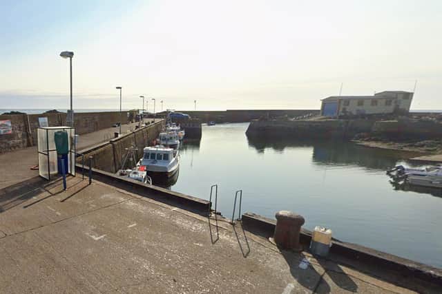 The Coastal Communities Fund grants will benefit projects along the Berwickshire coast. (Pic: google Maps)