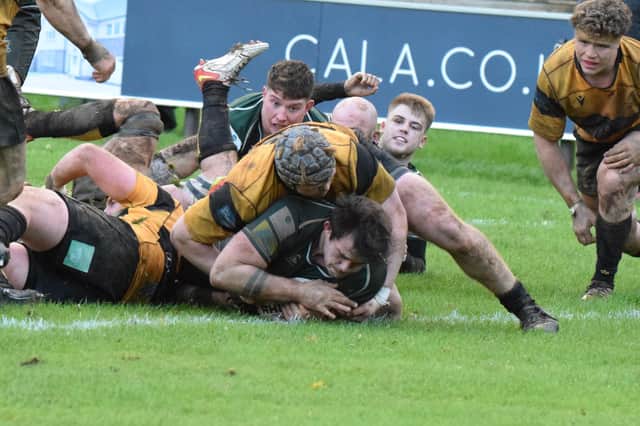 Hawick loosehead prop Shawn Muir scoring a late try against Currie Chieftains (Photo: Malcolm Grant)