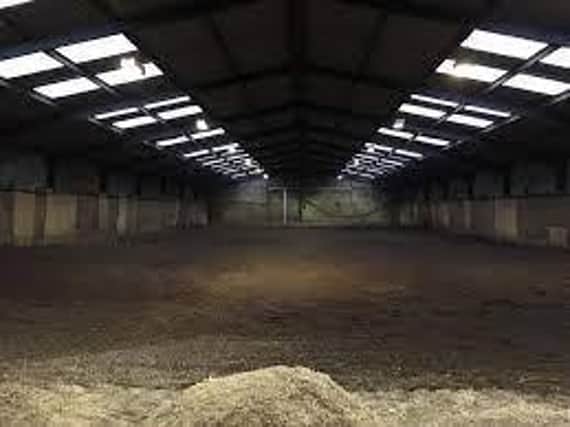 The dog grooming business will take up part of the equestrian facility.
