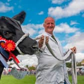 Iain Campbell from Gordon scooped the Champion of Champions prize last year with his yearling heifer Aberdeen Angus, Gordon Blackcherry. Photo: Phil Wilkinson.