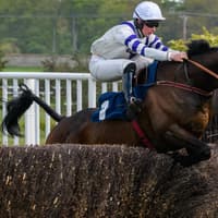 Perth and Kinross racehorse trainer Michael Scudamore hoping to get third time lucky in £40,000 feature race at Kelso
