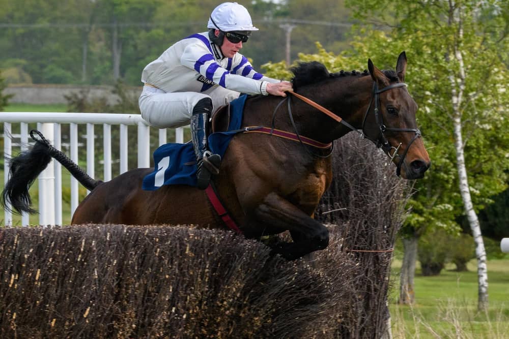 Jack Power on Walk On Quest at Kelso Racecourse in May this year (Photo: Alan Raeburn/Kelso Races)