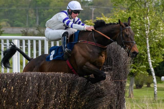Jack Power on Walk On Quest at Kelso Racecourse in May this year (Photo: Alan Raeburn/Kelso Races)