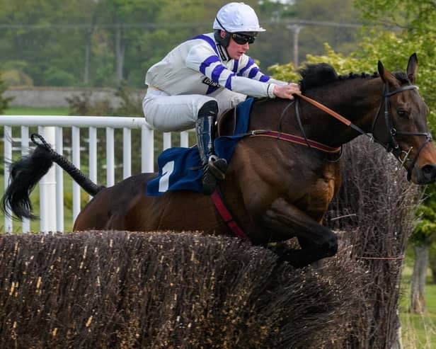 Jack Power on Walk On Quest at Kelso Racecourse in May this year (Photo: Alan Raeburn/Kelso Races)