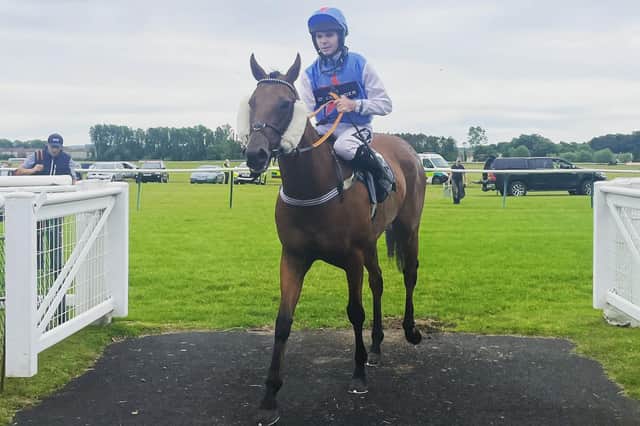Ben Asker after being ridden to victory for Lindean racehorse trainer Katie Scott by jockey Billy Garritty at Ayr on Monday (Photo: Katie Scott)