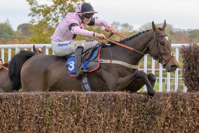 Craig Nichol riding Get With It to victory for Northumberland's Rose Dobbin at Kelso on Saturday (Photo: Kelso Races)