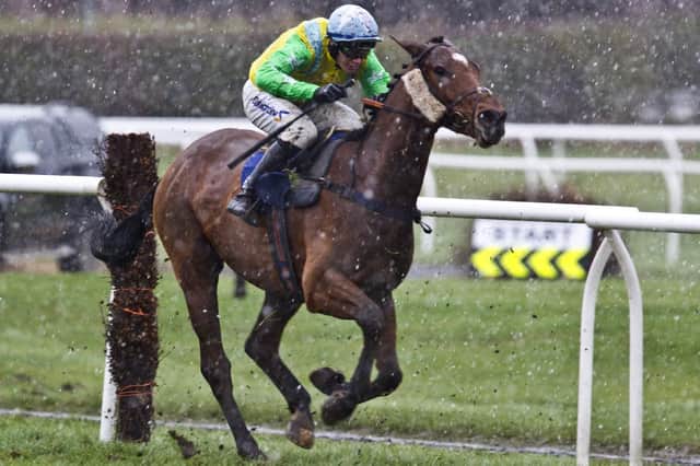Hold the Note, trained by Hawick's Ewan Whillans, in action previously (Pic: Bill McBurnie)