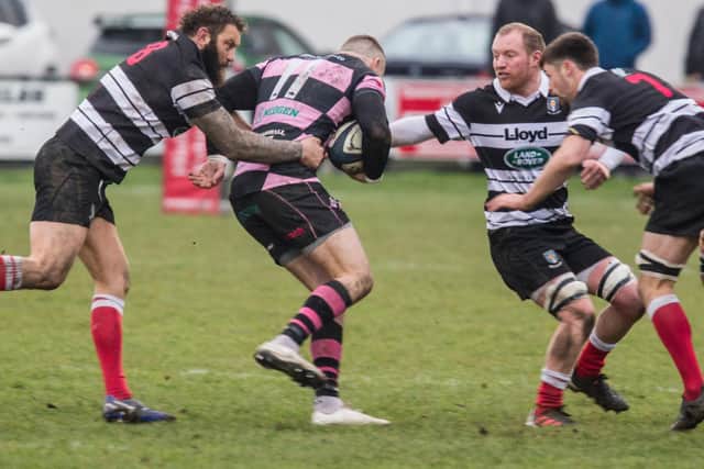 Ayr's Jamie Bova trying to evade a tackle by Kelso's Bruce McNeil (Photo: Bill McBurnie)