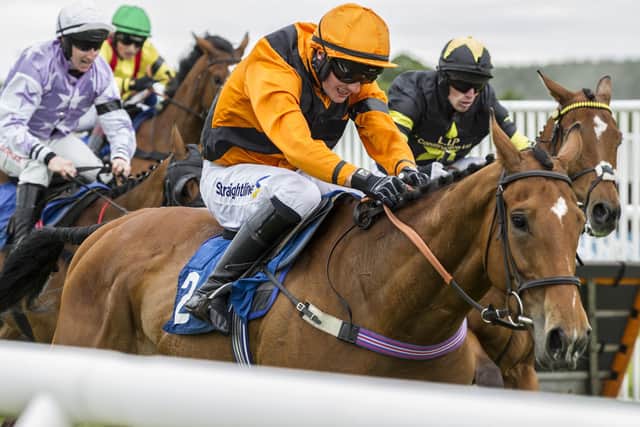 Brandy McQueen, trained by Camptown's Gary Rutherford and Harriet Graham, being ridden to victory at Kelso by Hawick jockey Craig Nichol (Photo: Bill McBurnie)