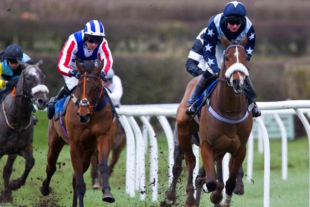 Langholm trainer James Ewart's Escapeandevade, right, was named as best-turned-out horse, thanks to stable lass Briony Ewart, in the 1.30pm Johnston Smillie Novices' Hurdle (Photo: Bill McBurnie)