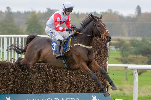 Sam Coltherd riding Wheelbahri to victory for his dad Stuart at Kelso in November (Pic: Kelso Races)
