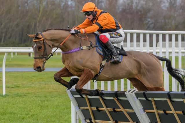 Edward Austin riding Brandy McQueen to victory for Camptown training partnership Harriet Graham and Gary Rutherford at Musselburgh on New Year's Day 2023 (Pic: Alan Raeburn)