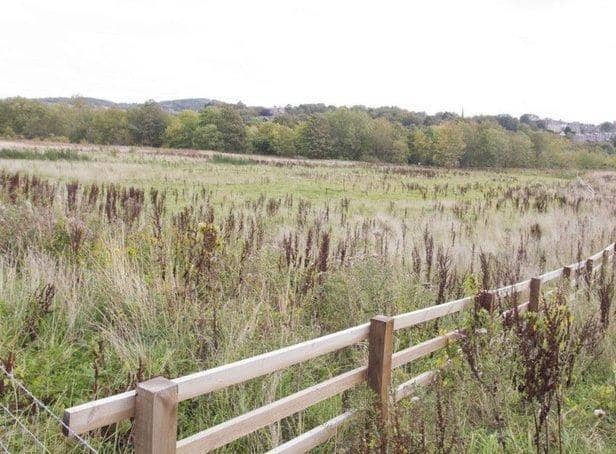 The land at Linglie Road on which developer Berand Homes had hoped to build 30 new houses.