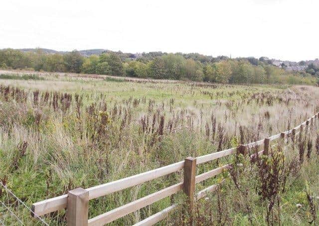 The land at Linglie Road on which developer Berand Homes had hoped to build 30 new houses.