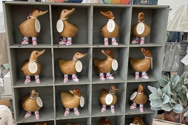 The ducks will be on sale at Winter, Spring, Summer and Fall in Galashiels' Banks Street on Saturday, June 4.