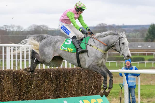 Empire Steel, trained by Kelso's Sandy Thomson, winning the 3.35pm Bet365 Premier Chase  at his home-town track on Saturday with Ryan Mania in the saddle (Photo: Alan Raeburn/Kelso Races)