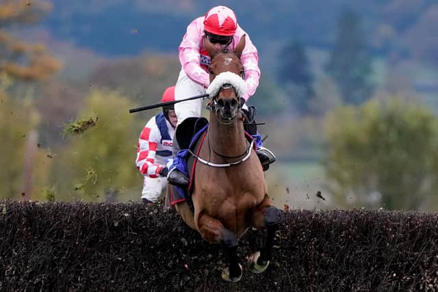 Brewin'upastorm, seen here at Taunton Racecourse on November 14, 2019, is also lined up to compete at this year's Morebattle Hurdle. (Photo by Alan Crowhurst/Getty Images)